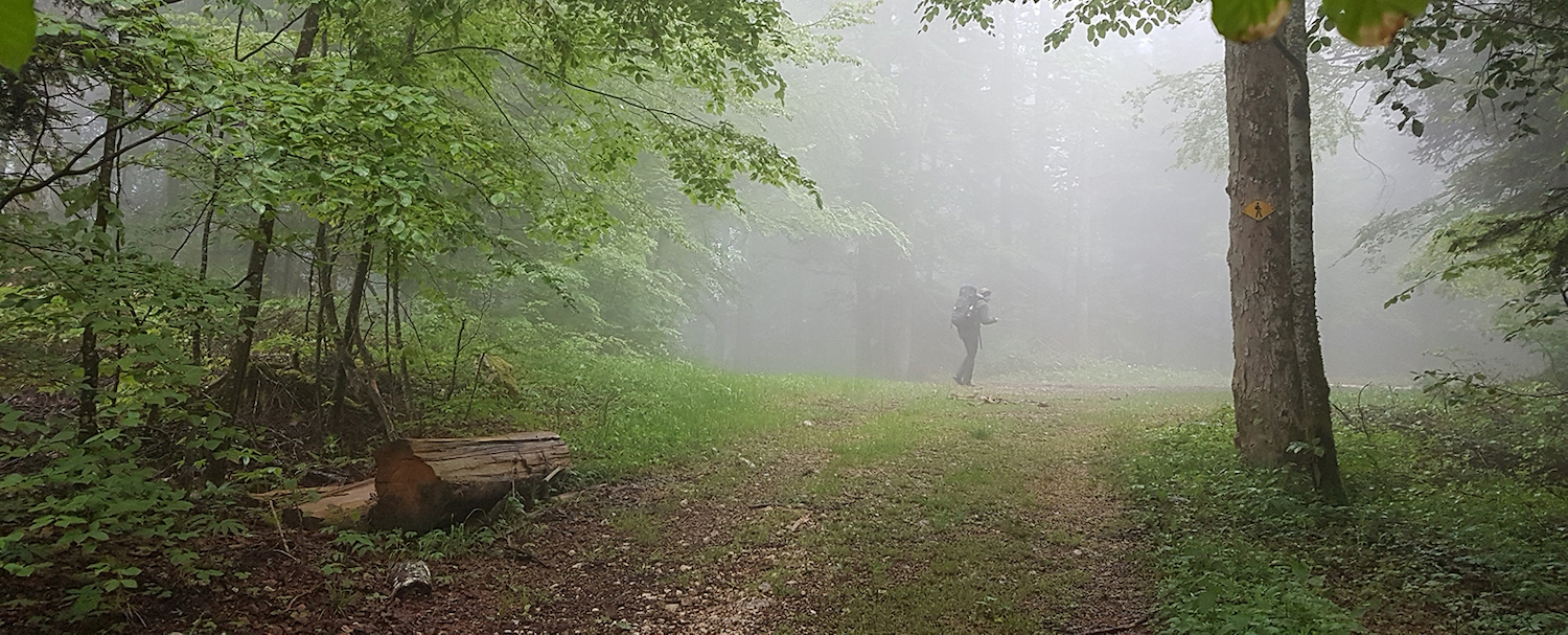 VELODACH - VÉLOGÎTES – OSPITABICI