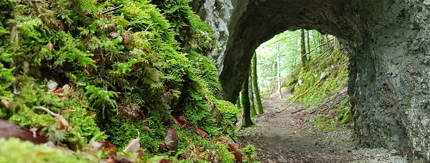 VELODACH - VÉLOGÎTES – OSPITABICI